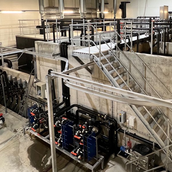 Recirculating Aquaculture Systems